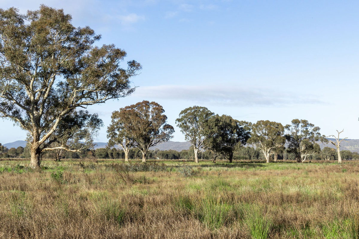 [Land for Sale] Warby Views Estate, Wangaratta OpenLot